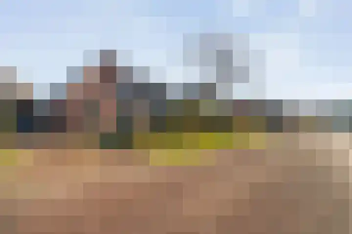 Dreeslaan 6 Havelte thumbnail 51