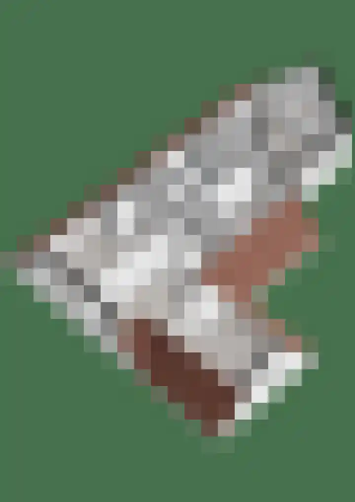 Dreeslaan 6 Havelte thumbnail 61