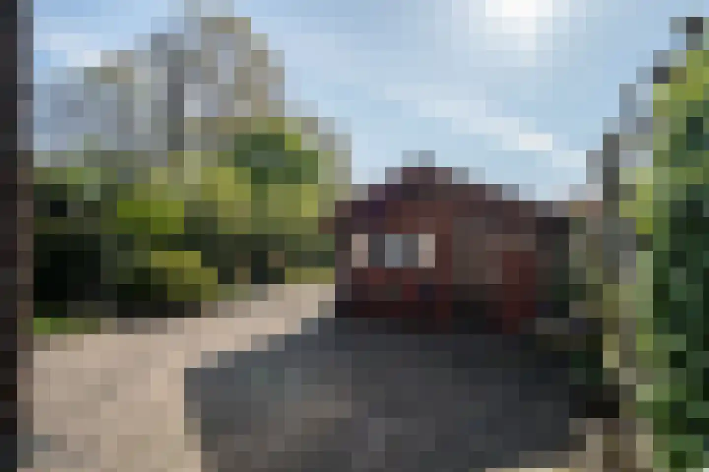 Dreessencampstraat 22 Beesel thumbnail 22