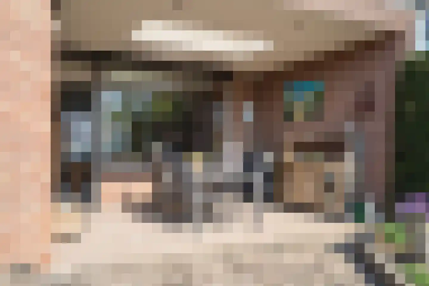 Dreessencampstraat 22 Beesel thumbnail 25