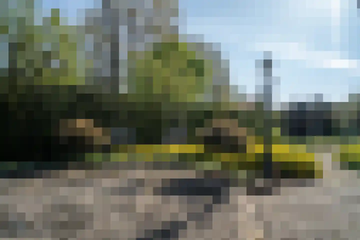 Dreessencampstraat 22 Beesel thumbnail 27