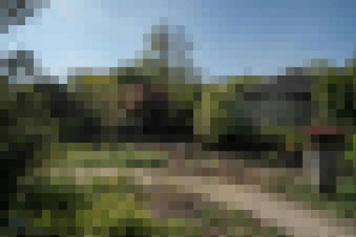Dreessencampstraat 22 Beesel thumbnail 29