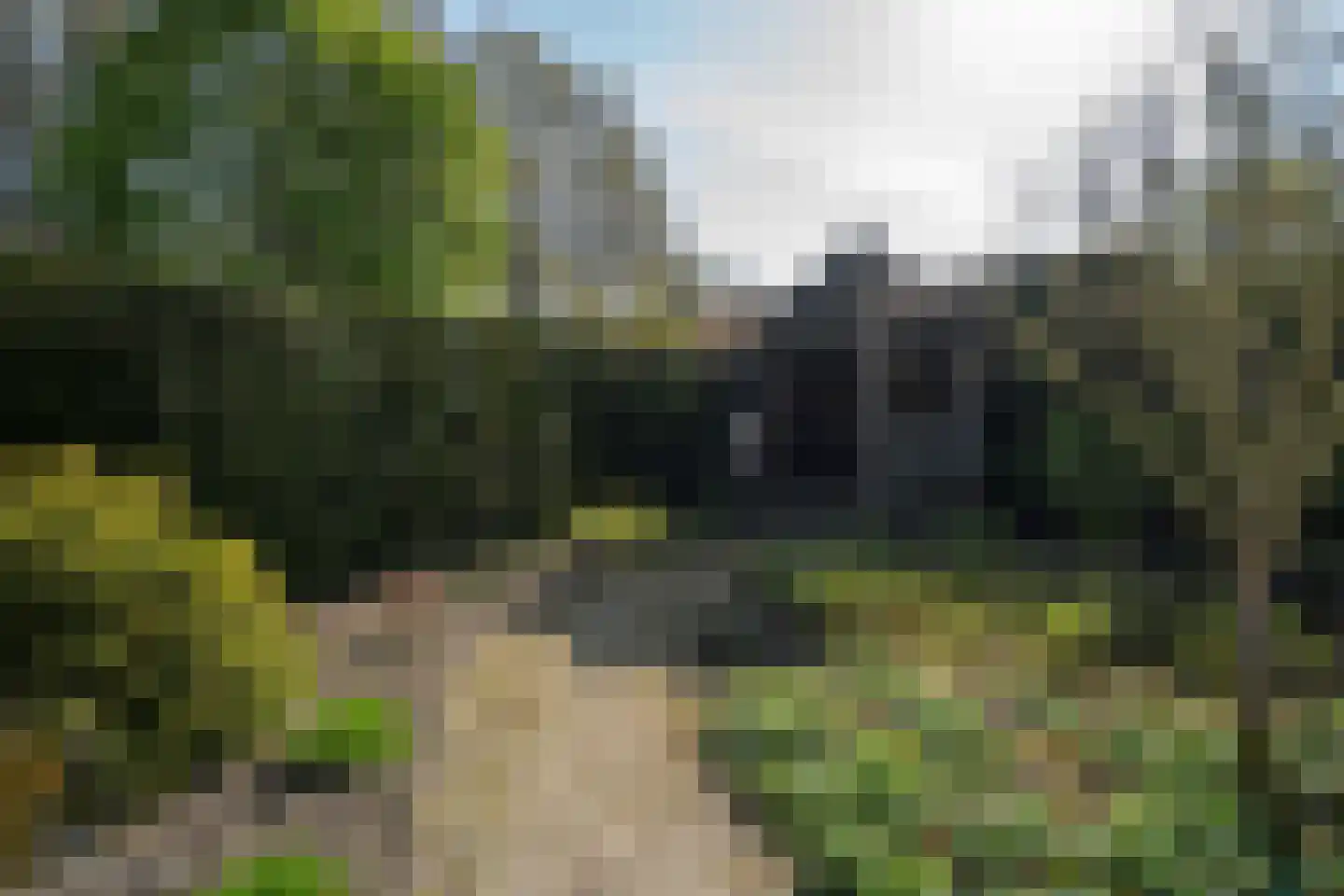 Dreessencampstraat 22 Beesel thumbnail 32