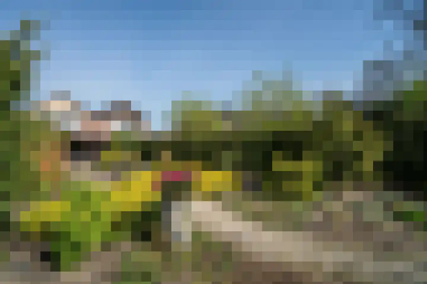 Dreessencampstraat 22 Beesel thumbnail 33