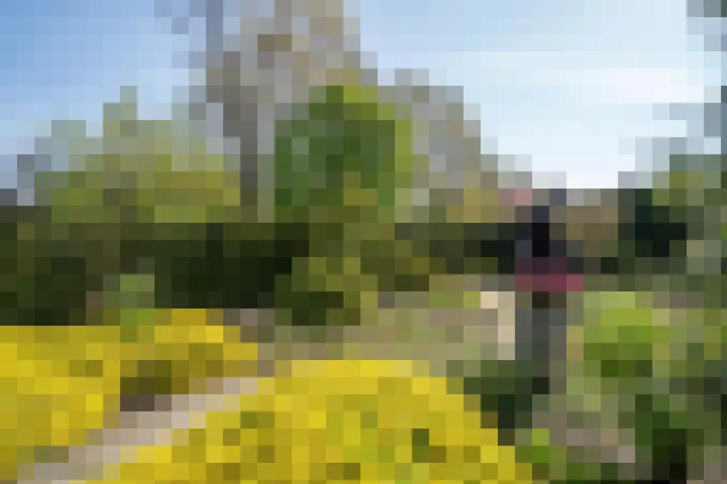 Dreessencampstraat 22 Beesel thumbnail 34