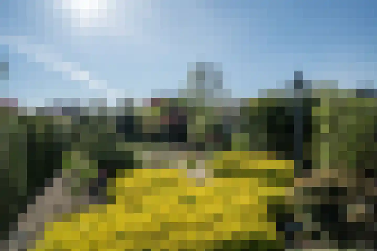 Dreessencampstraat 22 Beesel thumbnail 36