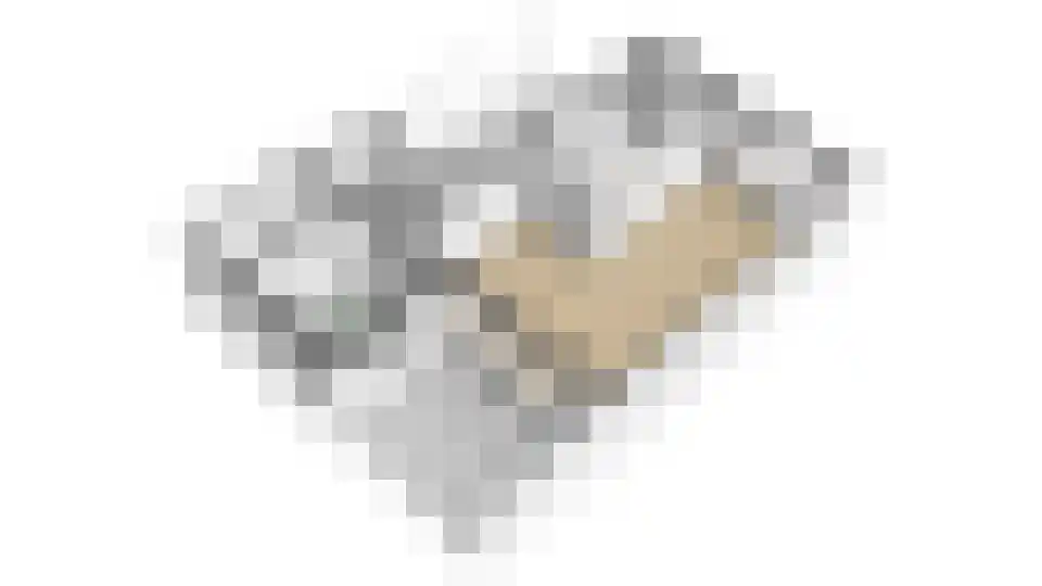 Dreessencampstraat 22 Beesel thumbnail 47