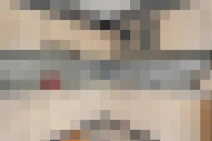 Dreessingel 21 Zwolle thumbnail 10