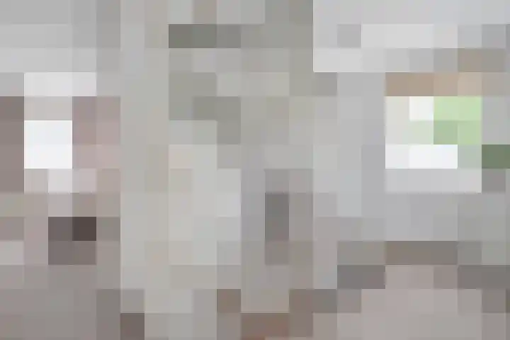 Dreessingel 21 Zwolle thumbnail 14
