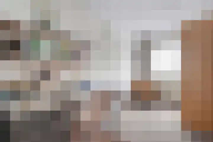 Dreessingel 21 Zwolle thumbnail 20