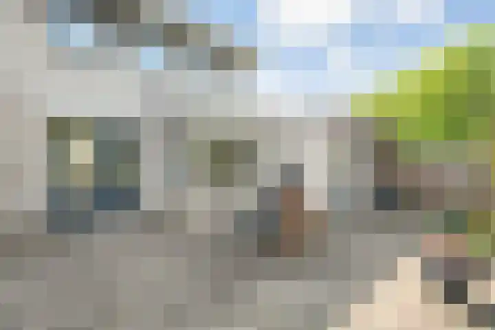Dreessingel 21 Zwolle thumbnail 30
