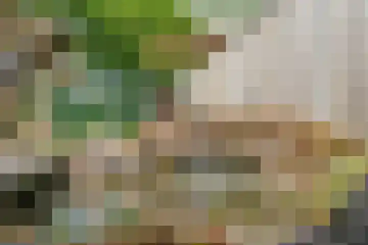 Dreessingel 21 Zwolle thumbnail 36