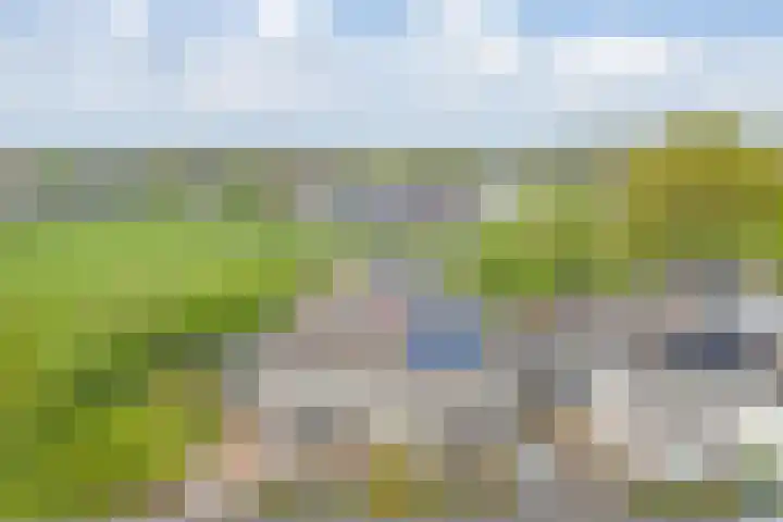 Dreessingel 21 Zwolle thumbnail 37