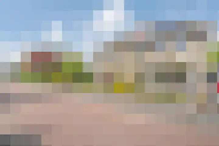 Dreessingel 21 Zwolle thumbnail 40