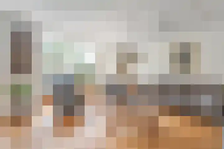 Dreessingel 21 Zwolle thumbnail 5