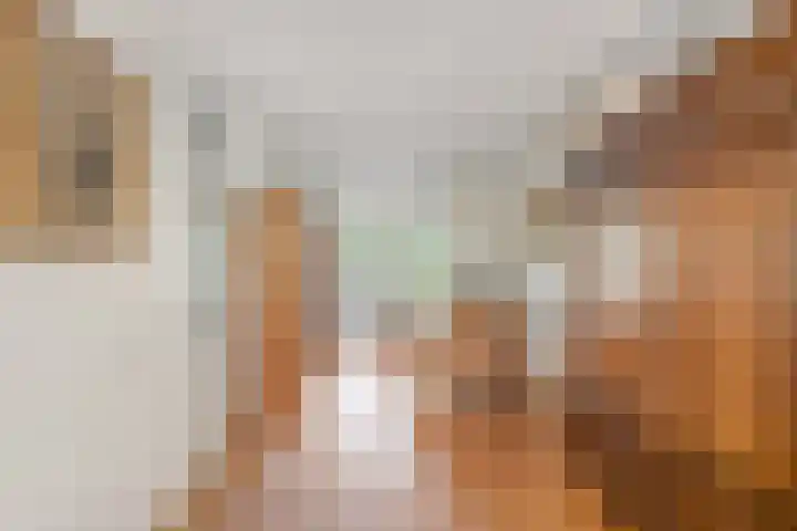 Dreessingel 21 Zwolle thumbnail 8