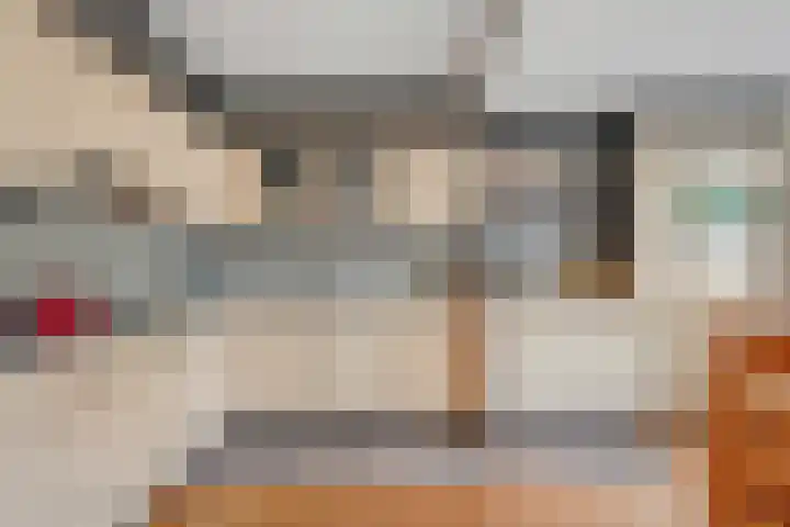 Dreessingel 21 Zwolle thumbnail 9