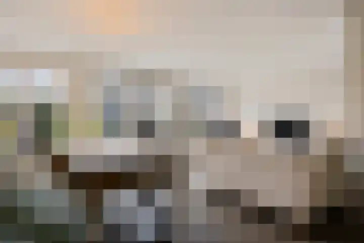 Dreessingel 30 Zwolle thumbnail 12