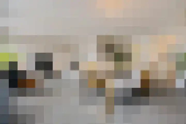 Dreessingel 30 Zwolle thumbnail 13