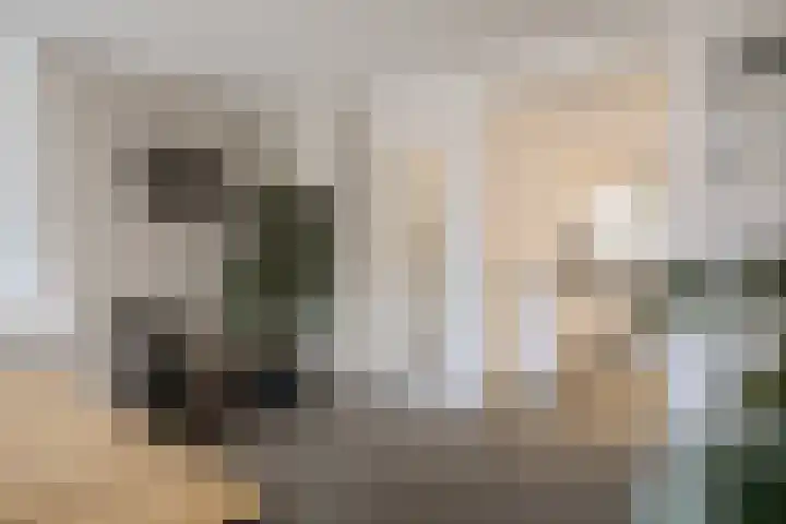 Dreessingel 30 Zwolle thumbnail 18