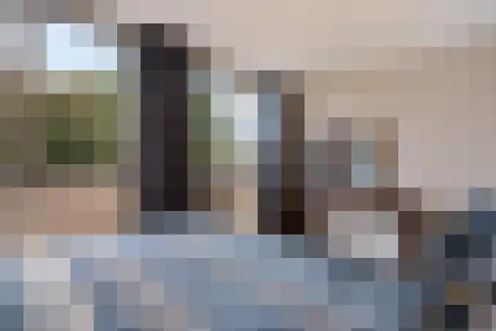 Dreessingel 30 Zwolle thumbnail 24