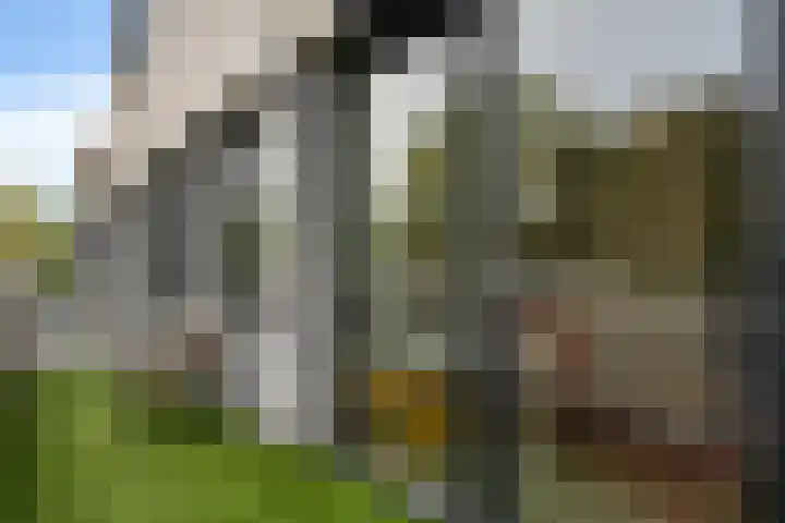 Dreessingel 30 Zwolle thumbnail 31