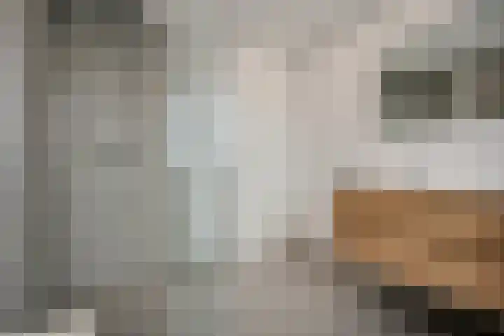 Dreessingel 30 Zwolle thumbnail 35