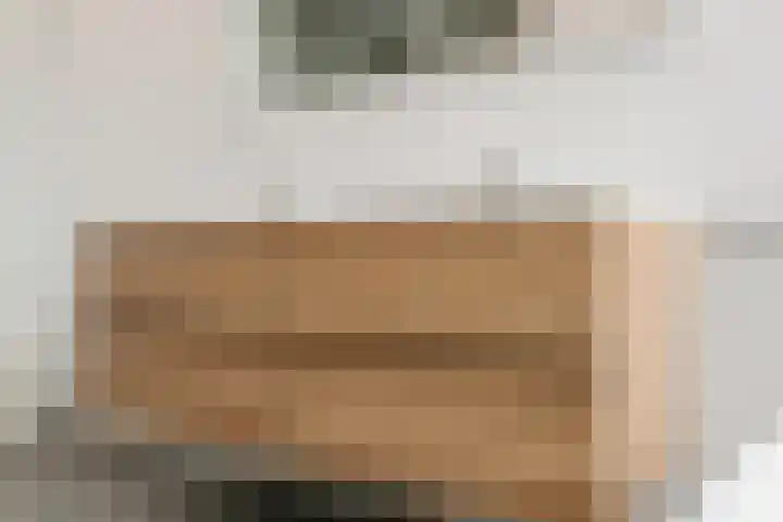 Dreessingel 30 Zwolle thumbnail 37