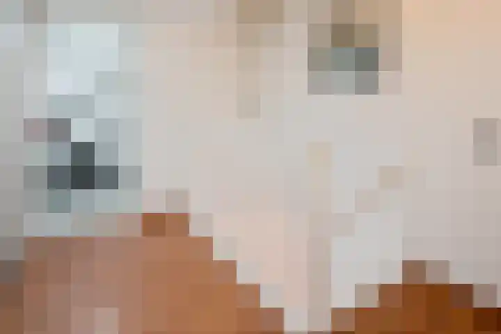 Dreessingel 30 Zwolle thumbnail 39