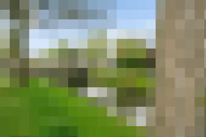 Dreessingel 30 Zwolle thumbnail 4