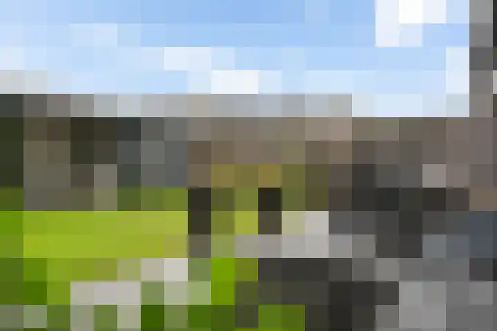 Dreessingel 30 Zwolle thumbnail 47