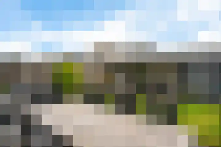 Dreessingel 30 Zwolle thumbnail 48
