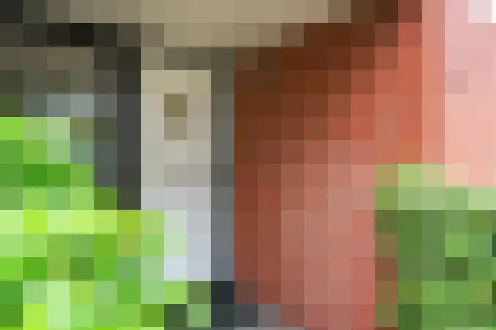 Dreessingel 30 Zwolle thumbnail 5