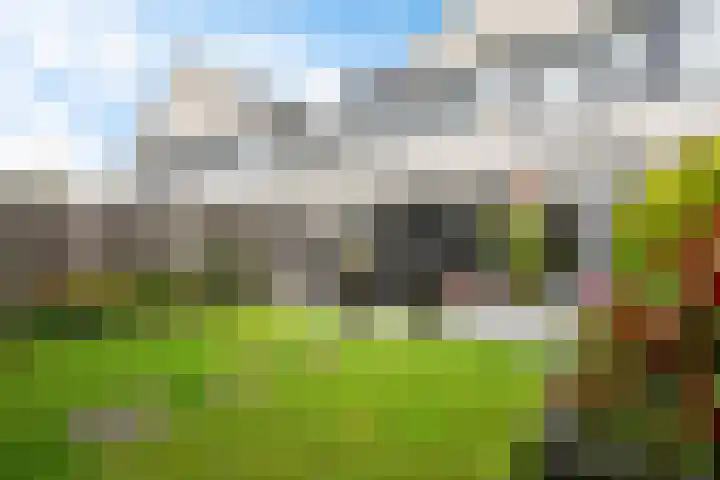 Dreessingel 30 Zwolle thumbnail 52