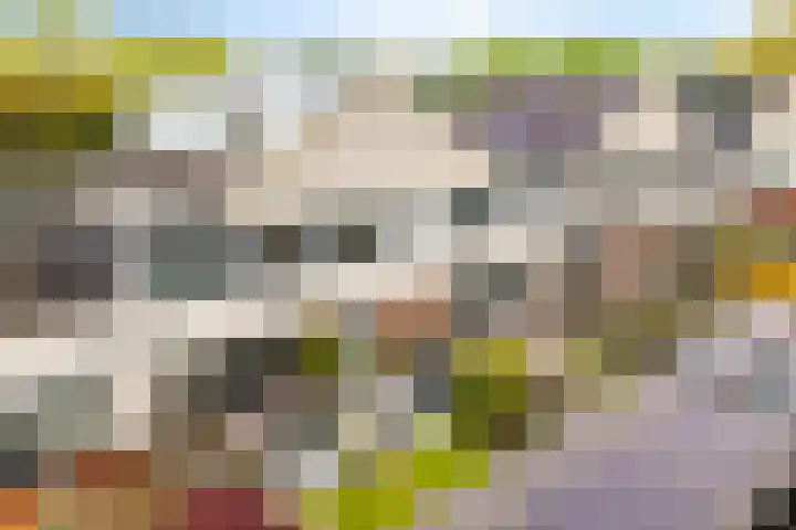 Dreessingel 30 Zwolle thumbnail 54
