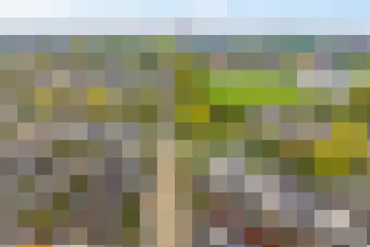 Dreessingel 30 Zwolle thumbnail 57