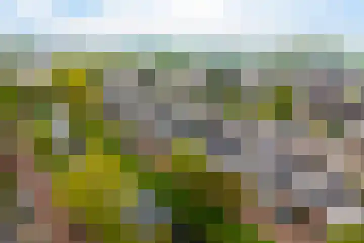 Dreessingel 30 Zwolle thumbnail 58