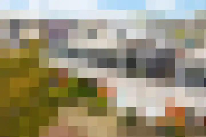 Dreessingel 30 Zwolle thumbnail 59