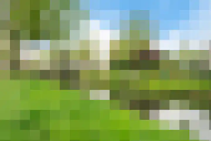 Dreessingel 30 Zwolle thumbnail 7