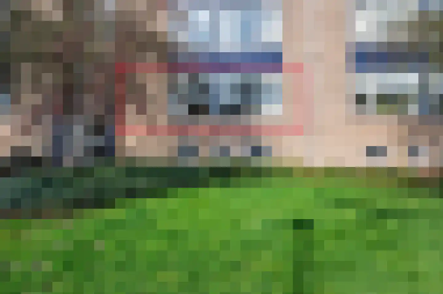 Dreesstraat 11 Rijen thumbnail 11