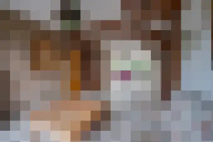 Dreesstraat 11 Rijen thumbnail 14