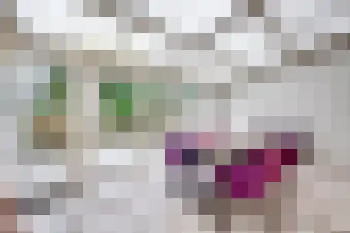 Dreesstraat 11 Rijen thumbnail 15