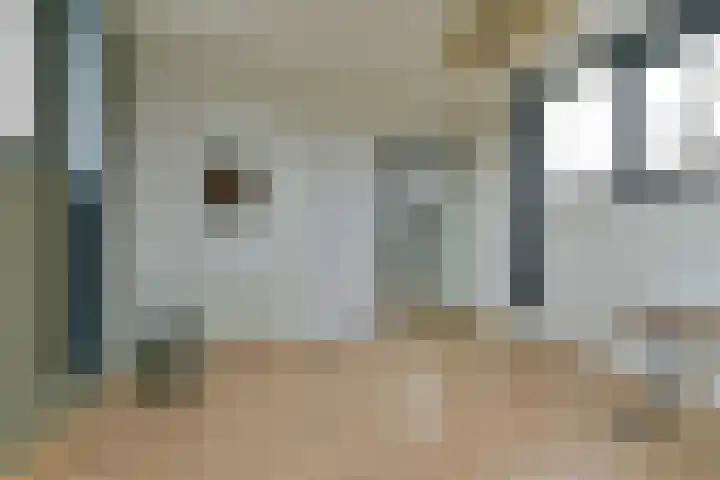 Dreesstraat 11 Rijen thumbnail 25