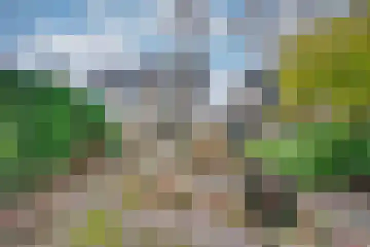 Dreesstraat 11 Rijen thumbnail 39