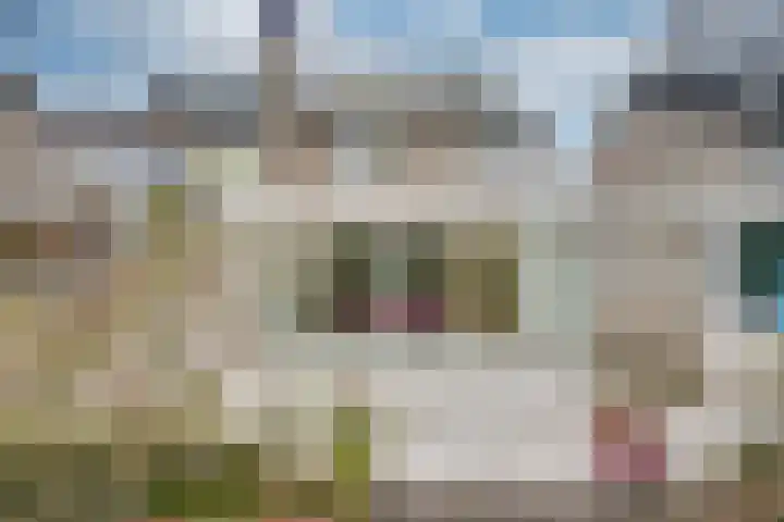 Dreesstraat 11 Rijen thumbnail 40