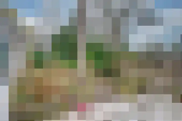 Dreesstraat 11 Rijen thumbnail 41