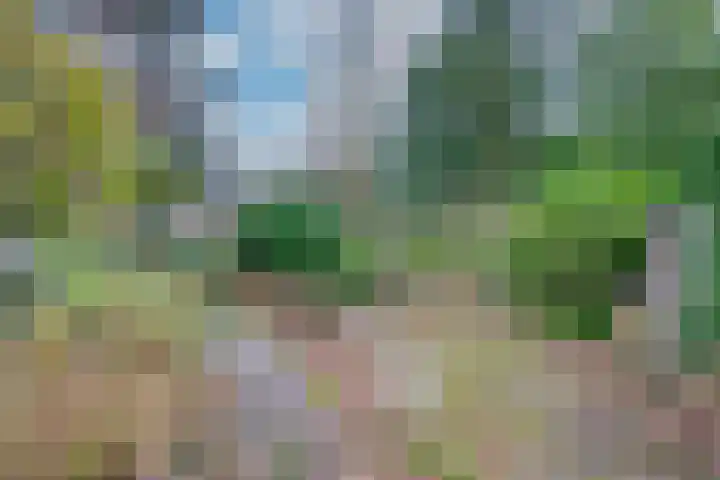 Dreesstraat 11 Rijen thumbnail 42