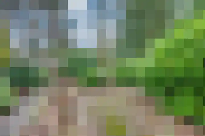 Dreesstraat 11 Rijen thumbnail 43