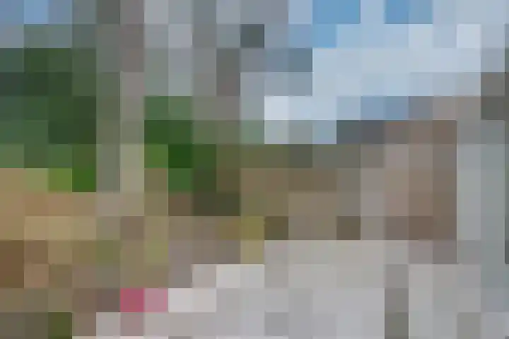 Dreesstraat 11 Rijen thumbnail 45