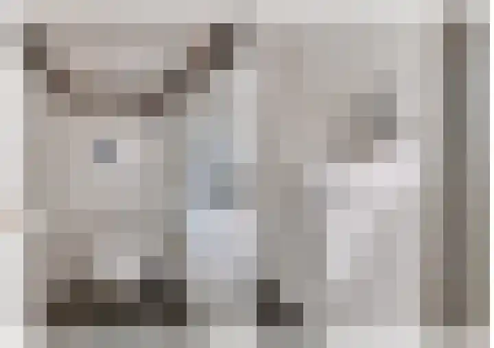 Dreesstraat 11 Rijen thumbnail 6